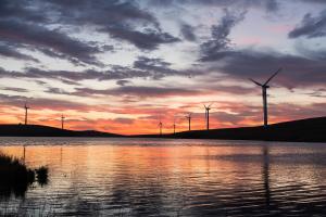 Wind turbines and lake